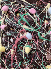Easter Brownie Bite Tray